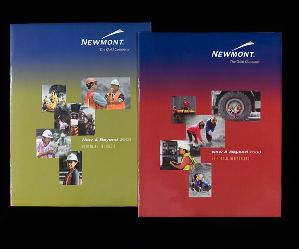 Now and Beyond 2003